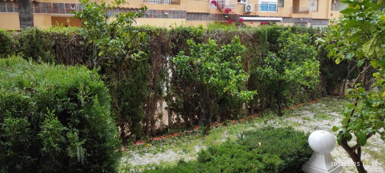 Punta Prima Bungalow Jardin Privado Torrevieja Exterior foto